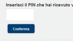 pin.png
